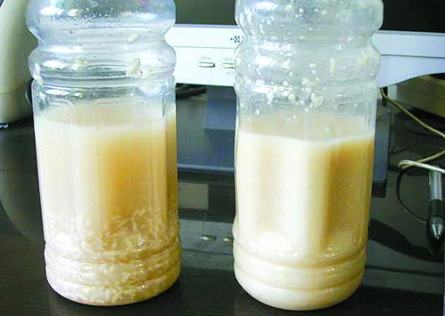 發(fā)酵菌劑在生物飼料研發(fā)中的發(fā)展瓶頸與市場(chǎng)前景探析