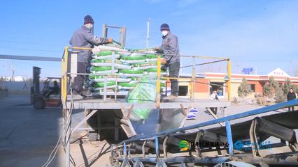 張掖市人民政府推動生物飼料研發，助力農業綠色發展