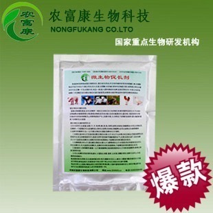 高效育肥牛飼料添加劑選擇與生物飼料研發新趨勢