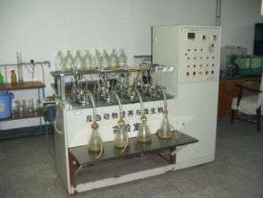 反芻動(dòng)物飼料安全評(píng)價(jià)實(shí)驗(yàn)室與生物飼料研發(fā)的協(xié)同創(chuàng)新