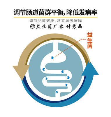 奶牛消化問(wèn)題科學(xué)應(yīng)對(duì) 生物飼料添加劑研發(fā)與高效應(yīng)用